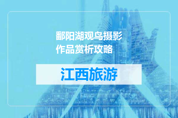 鄱阳湖观鸟摄影作品赏析攻略