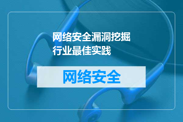 网络安全漏洞挖掘行业最佳实践