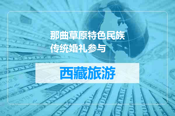 那曲草原特色民族传统婚礼参与