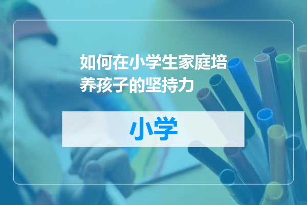 如何在小学生家庭培养孩子的坚持力