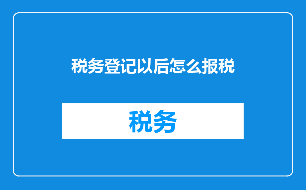 税务登记以后怎么报税