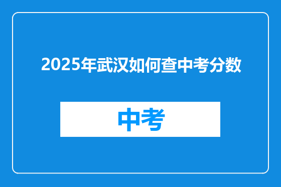 2025年武汉如何查中考分数
