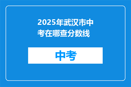 2025年武汉市中考在哪查分数线