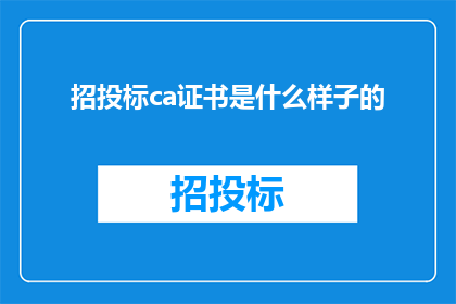 招投标ca证书是什么样子的