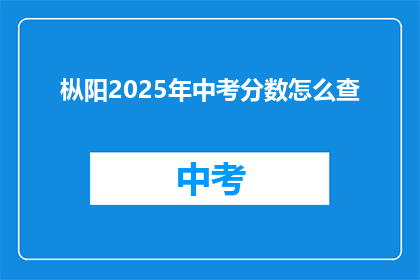 枞阳2025年中考分数怎么查