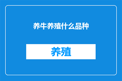 养牛养殖什么品种